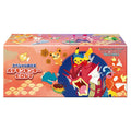Pokémon Center Hiroshima Special Box – Japanisch